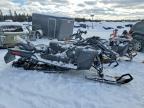 2024 Skidoo Expedition Xtreme 900 ACE Turbo R