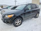2007 Hyundai Santa fe gls