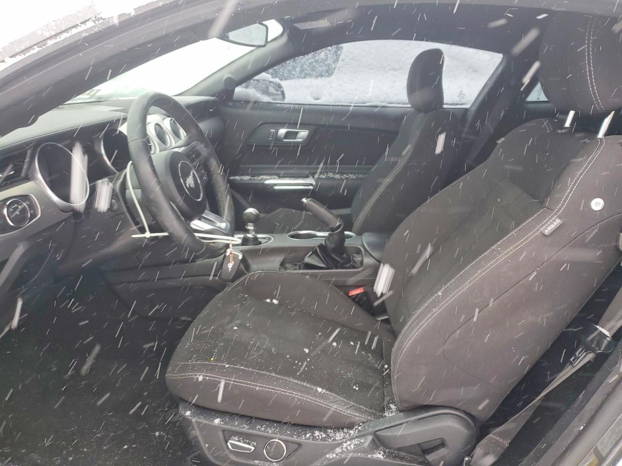 2019 Ford Mustang gt