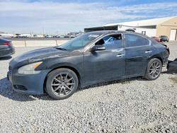 2010 Nissan Maxima 3.5 s en venta en Brighton, CO