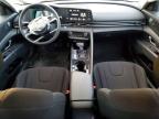 2025 Hyundai Elantra Blue
