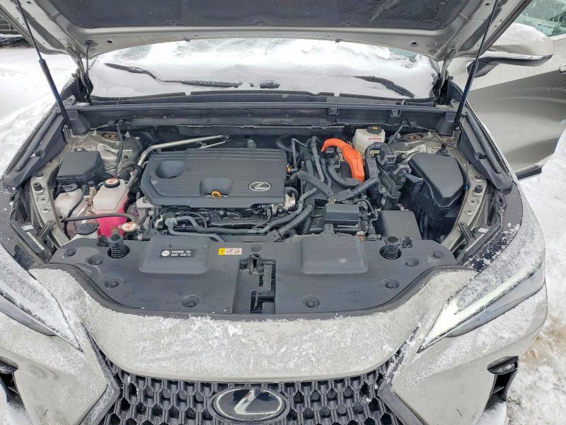 2023 Lexus NX
