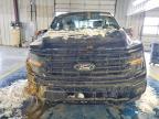 2024 Ford F150 xlt