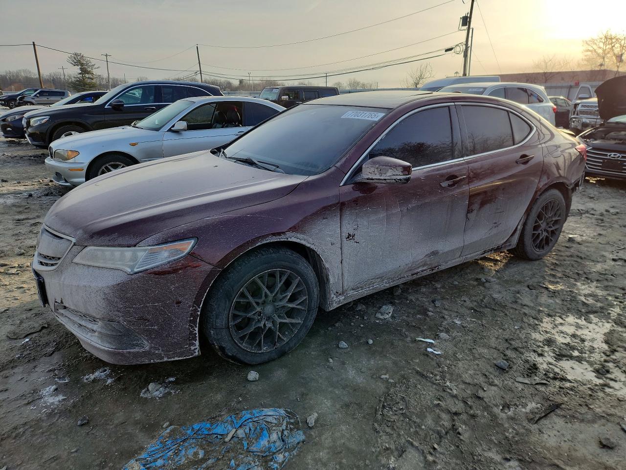 2015 Acura Tlx Tech