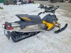 2011 Skidoo 2011 Skid MX Z TNT