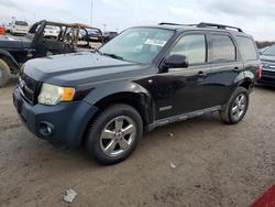 Ford Vehiculos salvage en venta: 2008 Ford Escape Limited