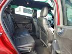 2024 Ford Escape st Line
