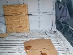 2023 Dodge RAM Promaster 2500 2500 High