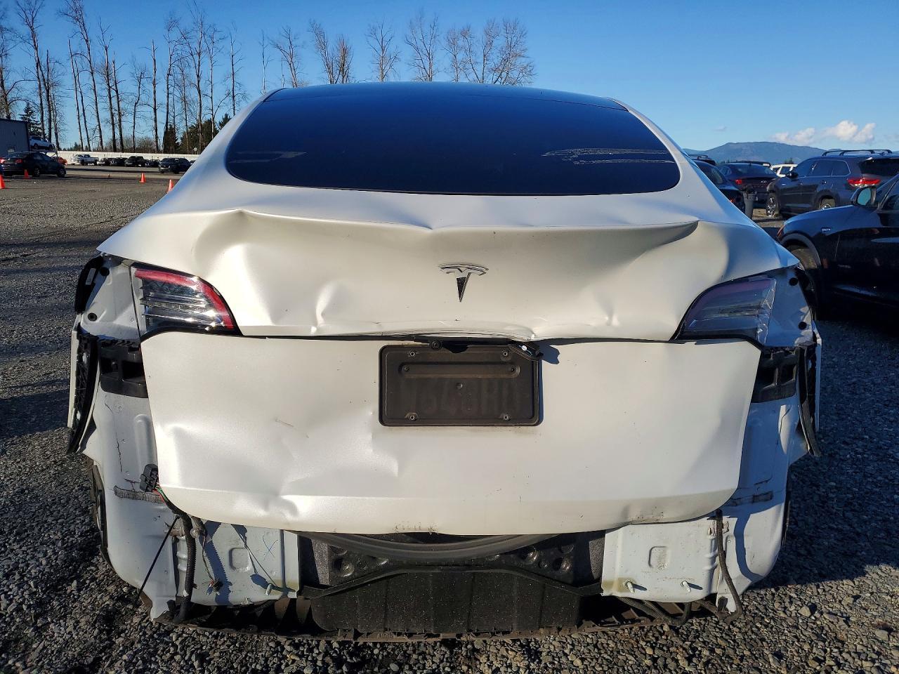 2020 Tesla Model y