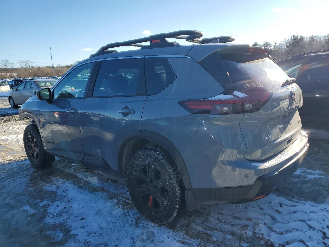 2025 Niss Rogue Rock Creek
