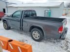 2003 Dodge Dakota SXT