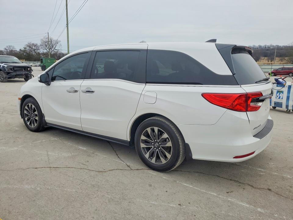 2024 Honda Odyssey exl