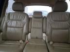 2009 Honda Odyssey exl