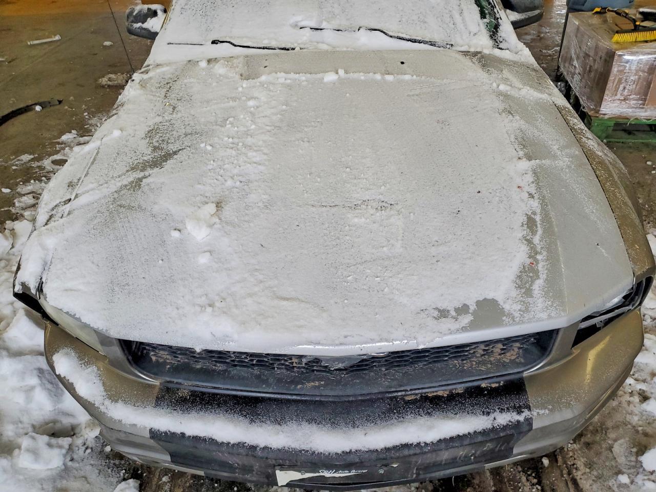 2008 Ford Mustang