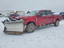 Ford Vehiculos salvage en venta: 2019 Ford F250 Super Duty