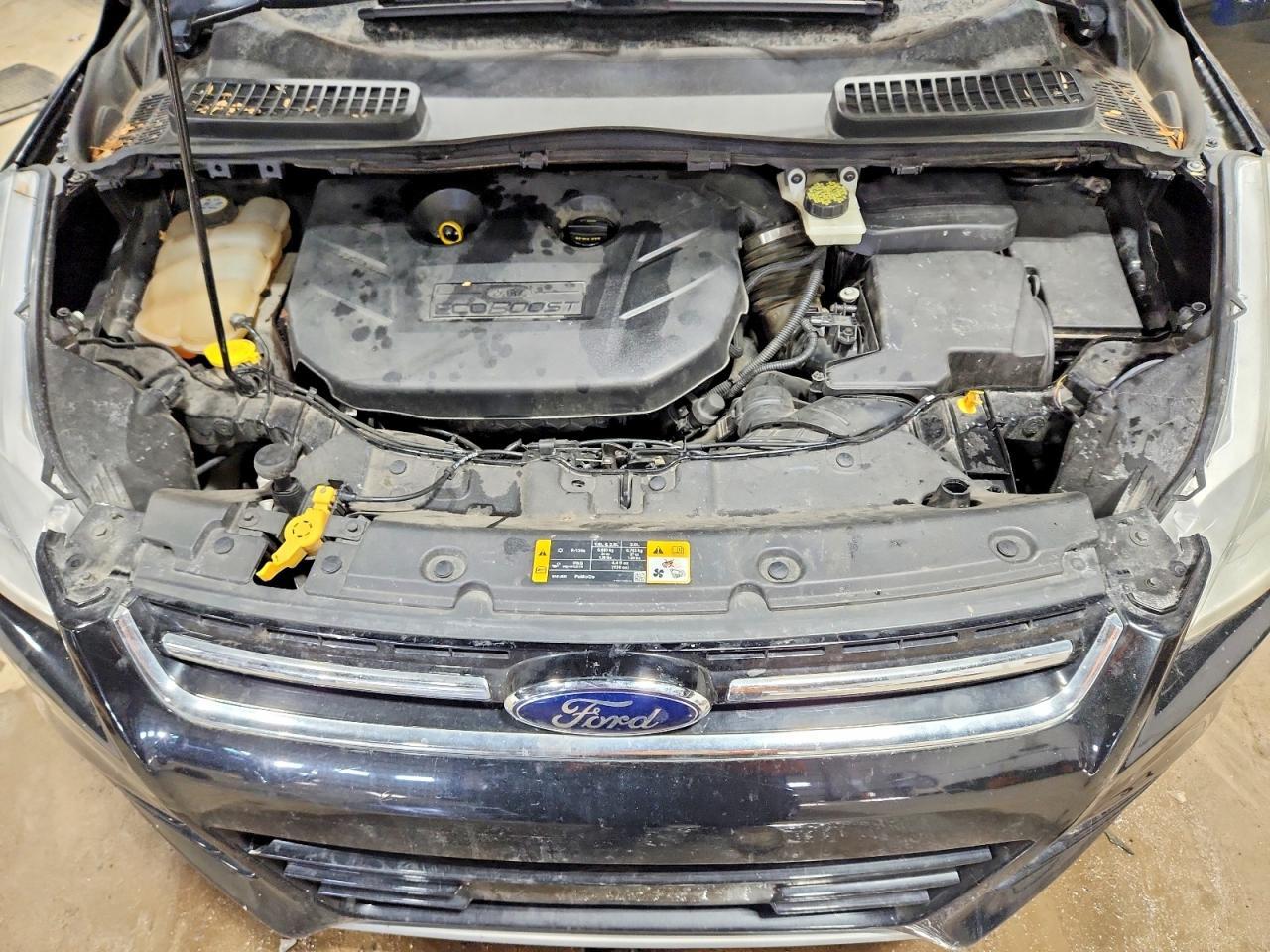 2013 Ford Escape sel