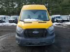 2023 Ford Transit 250 Delivery Van