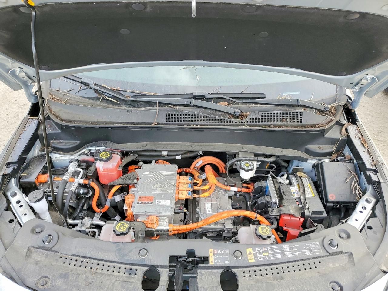 2023 Chevrolet Bolt euv lt