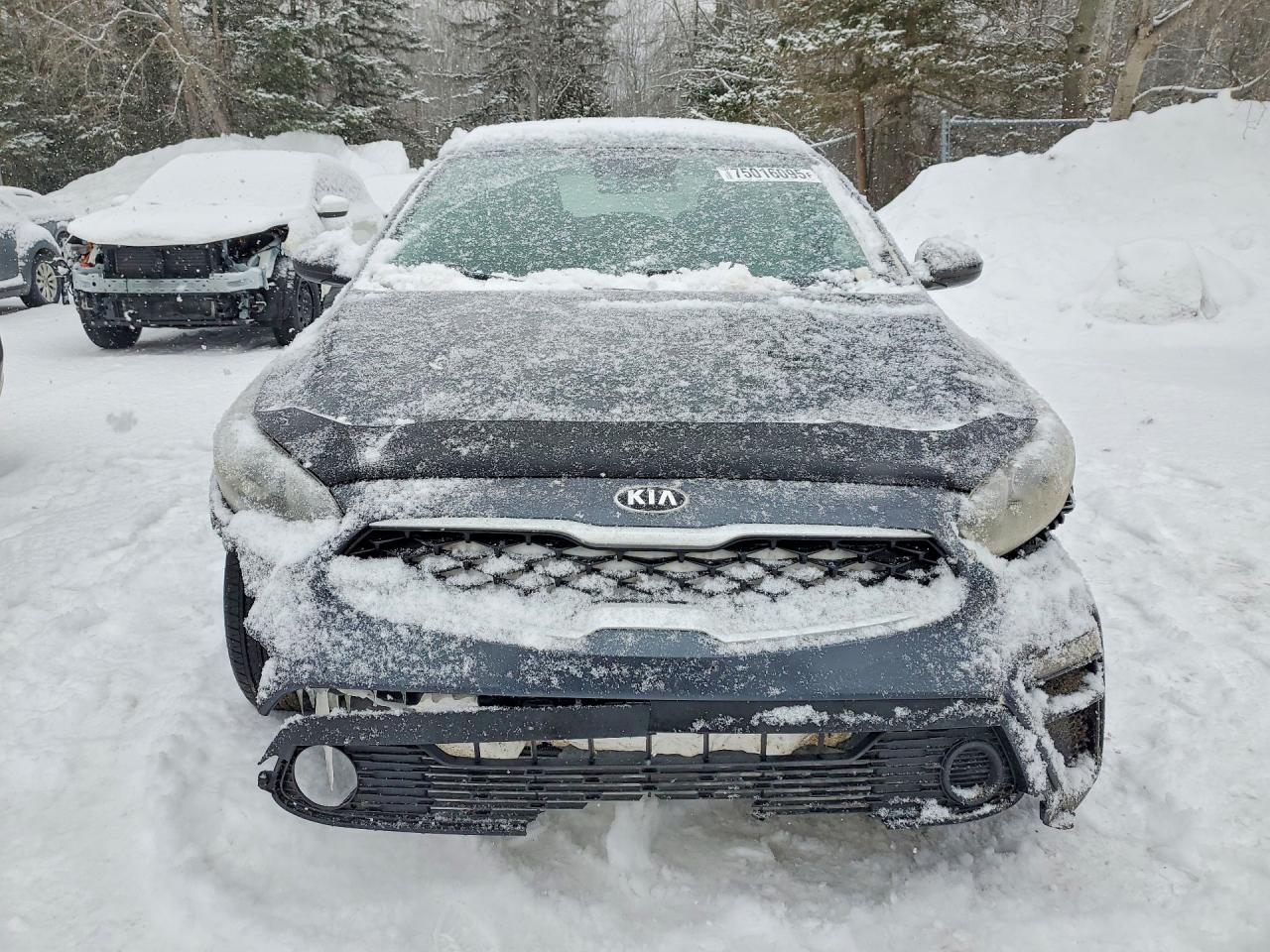 2019 KIA Forte fe