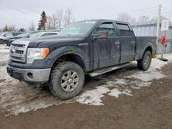 Ford salvage cars for sale: 2013 Ford F150 Supercrew