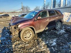 KIA salvage cars for sale: 2014 KIA Sorento lx