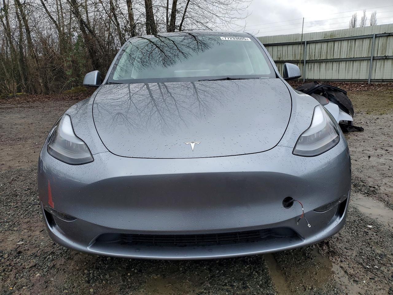 2025 Tesla Model y