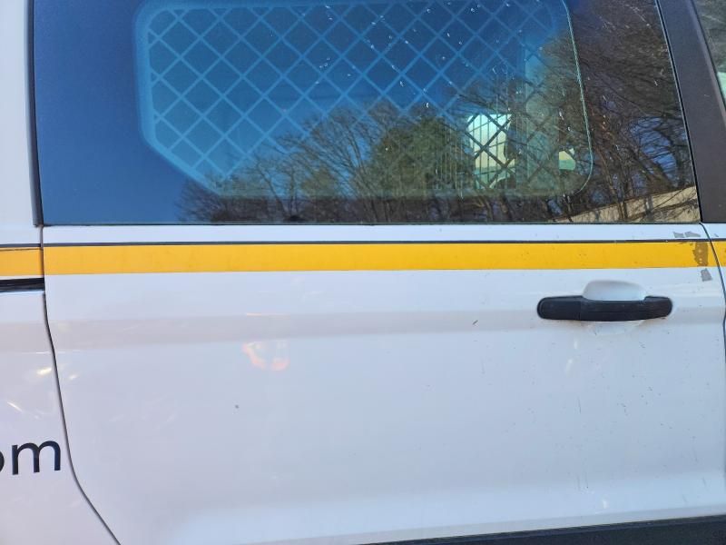 2019 Ford Transit Connect xlt