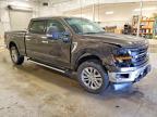 2024 Ford F150 xlt