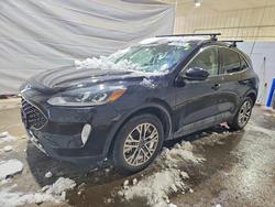 Ford Escape salvage cars for sale: 2021 Ford Escape sel
