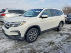 2019 Honda Pilot exl