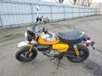 2022 Honda Z125 MA