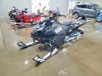 2025 Arctic Cat Arctic Cat