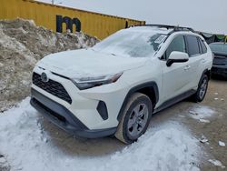2022 Toyota Rav4 xle for sale in Indianapolis, IN
