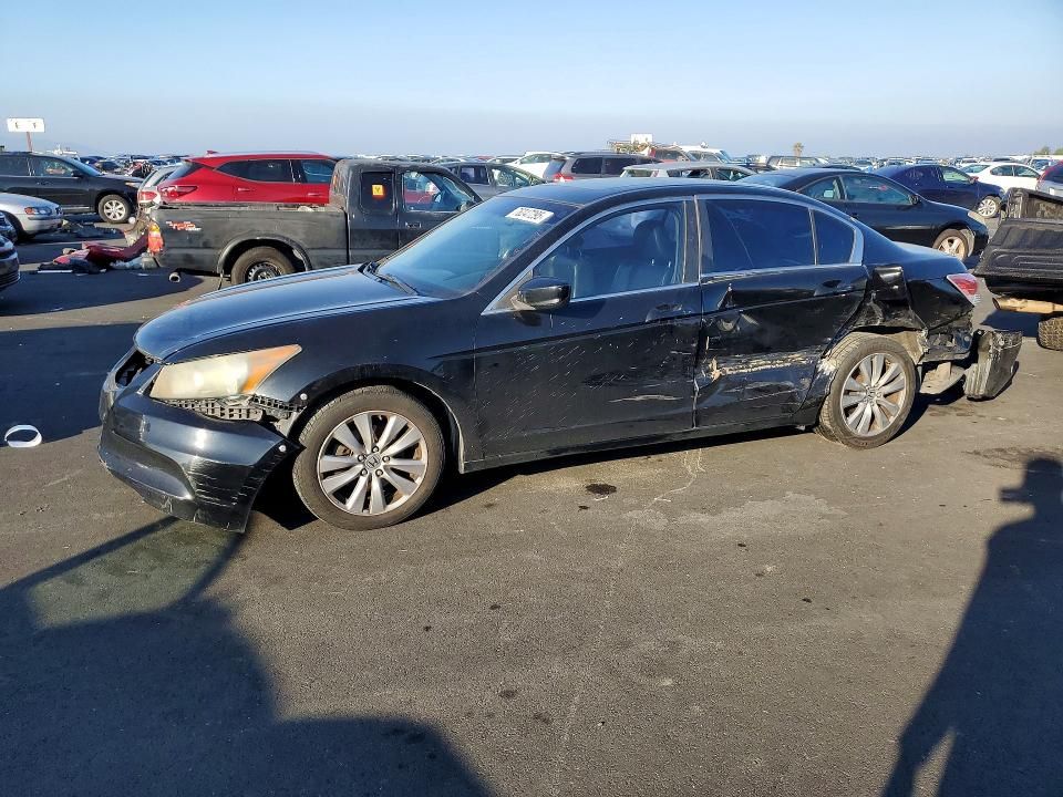 2011 Honda Accord exl