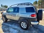 2010 Toyota Fj Cruiser