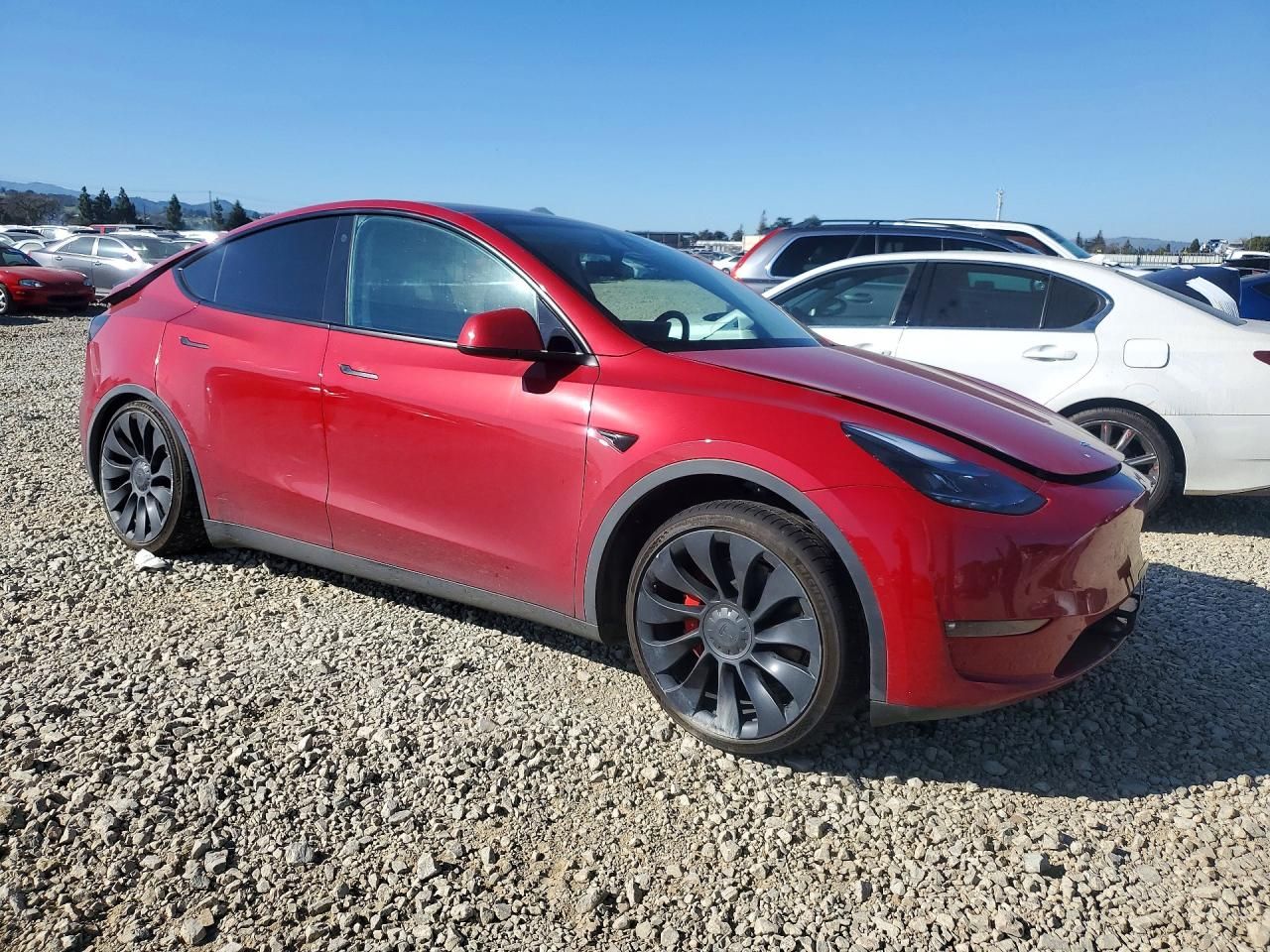 2022 Tesla Model y