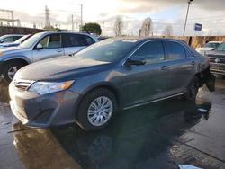 Salvage cars for sale from Copart Wilmington, CA: 2014 Toyota Camry l