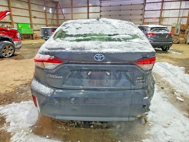 2025 Toyota Corolla Hybrid le