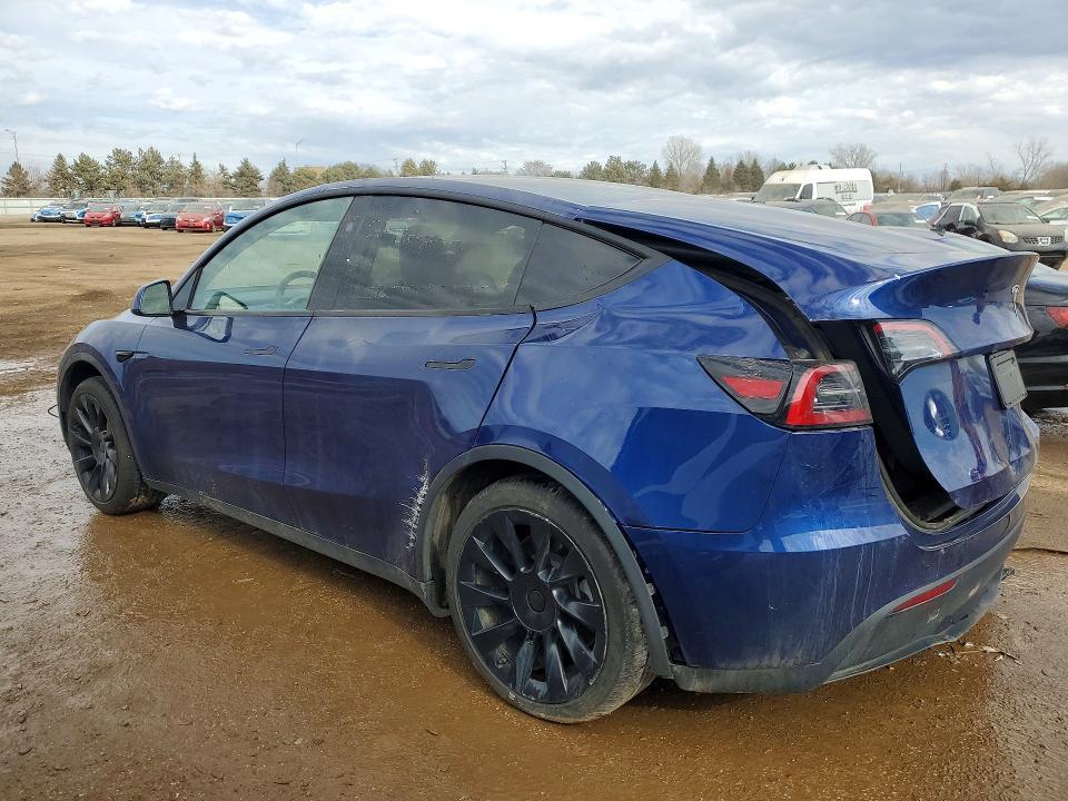 2024 Tesla Model y