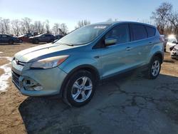 Ford Escape salvage cars for sale: 2013 Ford Escape se