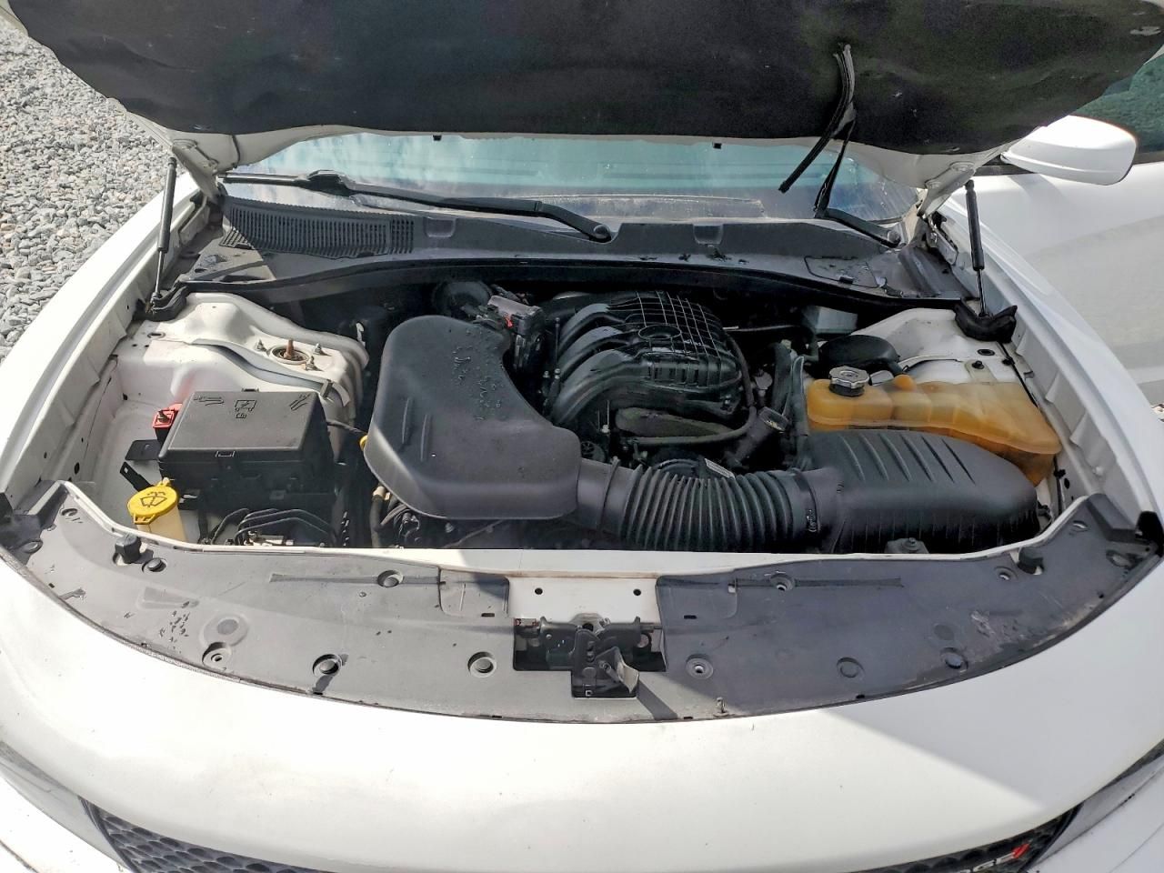 2019 Dodge Charger gt