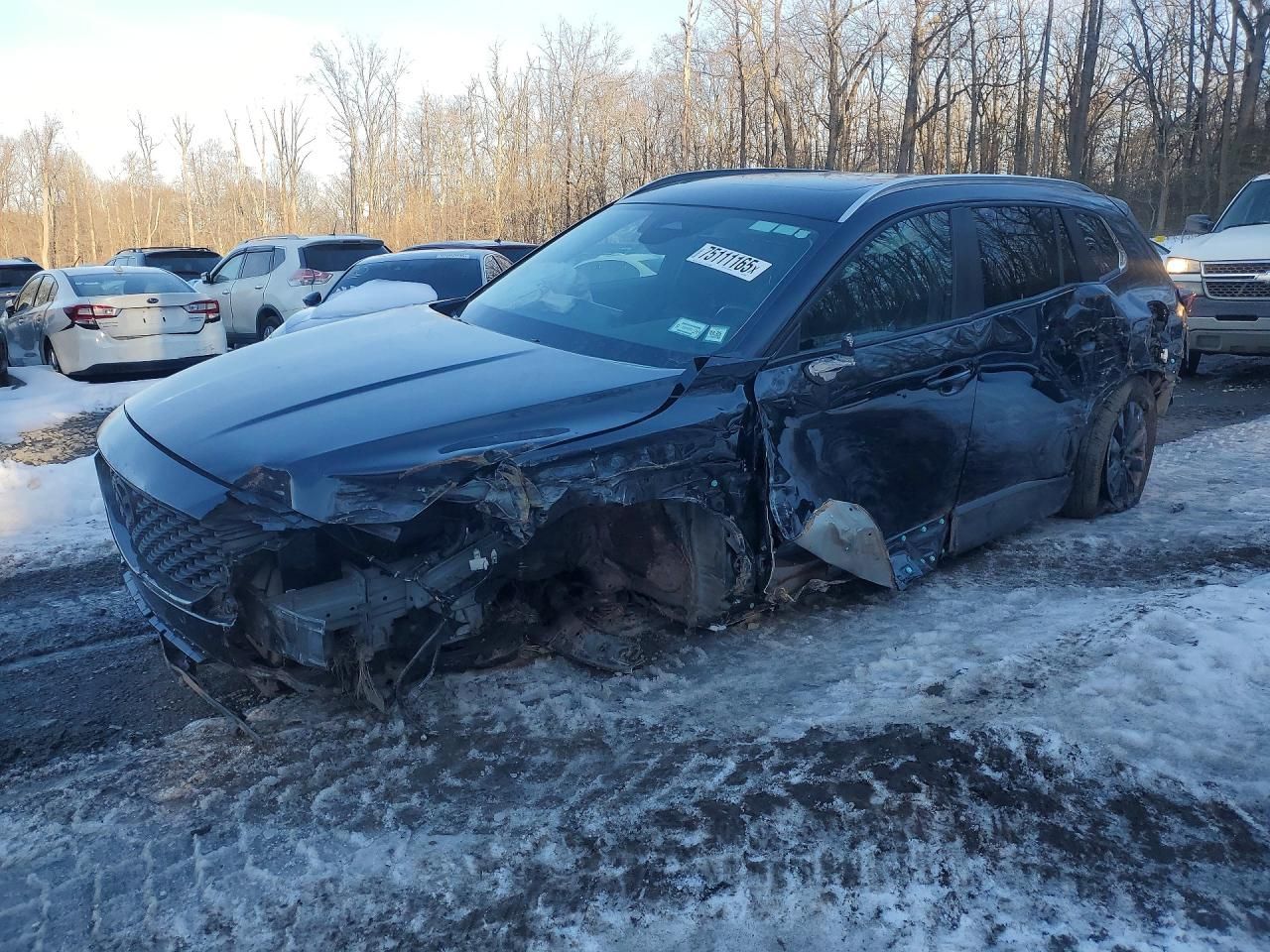 2025 Mazda Cx-50 Premium