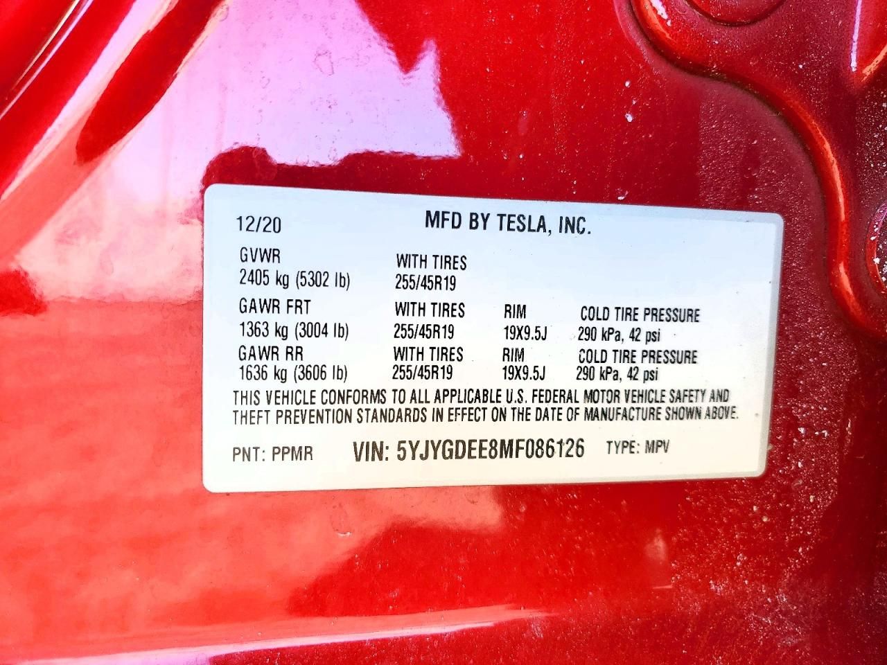 2021 Tesla Model y