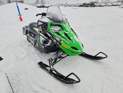 2010 Other Snowmobile for sale in Wayland, MI