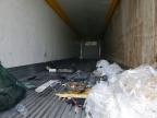 2021 Cimc Reefer TRL