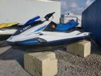 2024 YAM Jetski