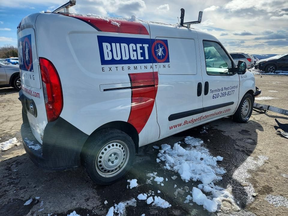 2019 Dodge Ram Promaster City