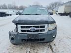 2008 Ford Escape Limited