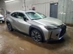 2019 Lexus Ux 250h