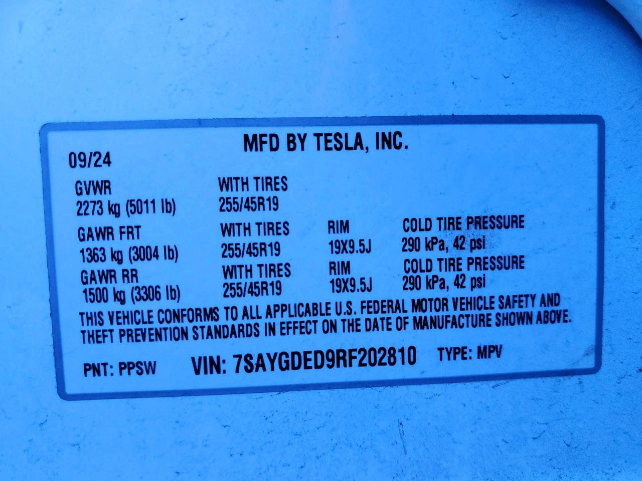 2024 Tesla Model y